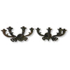 https://bettinawhitefordhome.com/products/pair-of-antique-bronze-lion-motif-wall-candle-sconces