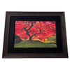 Tree of Life Signed Limited Edition by Peter Lik-Master Photographer