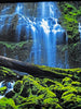 "PRISTINE" 74/450 Signed Limited Edition by Master Photographer Peter Lik