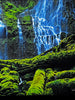 "PRISTINE" 74/450 Signed Limited Edition by Master Photographer Peter Lik