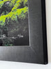 "PRISTINE" 74/450 Signed Limited Edition by Master Photographer Peter Lik